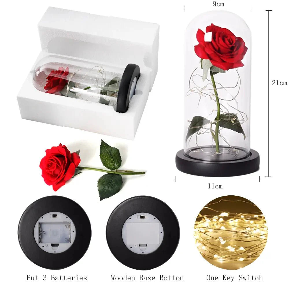 Preserved rose under glass bell jar with LED lighting