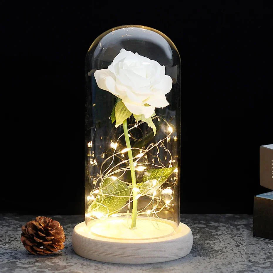 Preserved rose under glass bell jar with LED lighting
