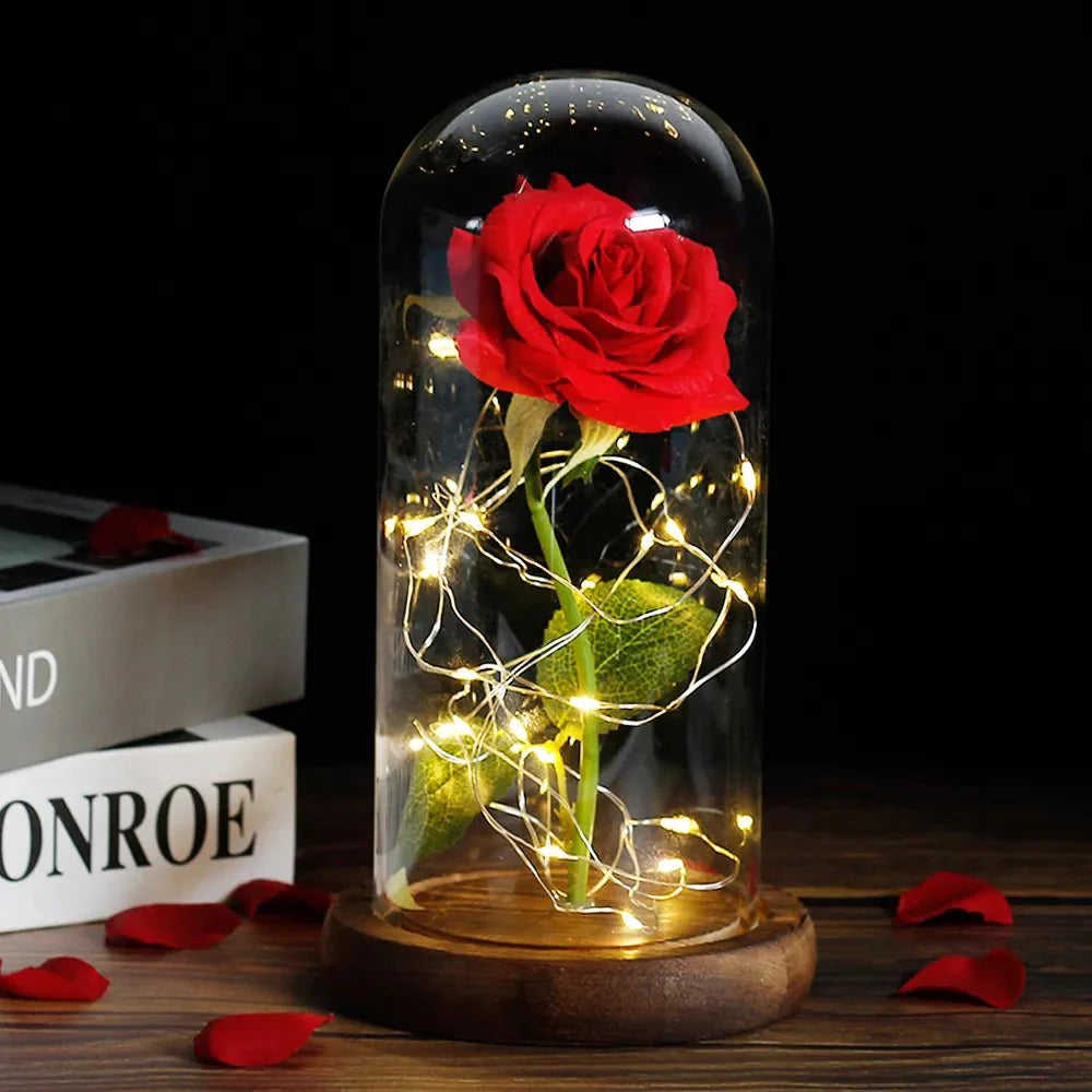 Preserved rose under glass bell jar with LED lighting