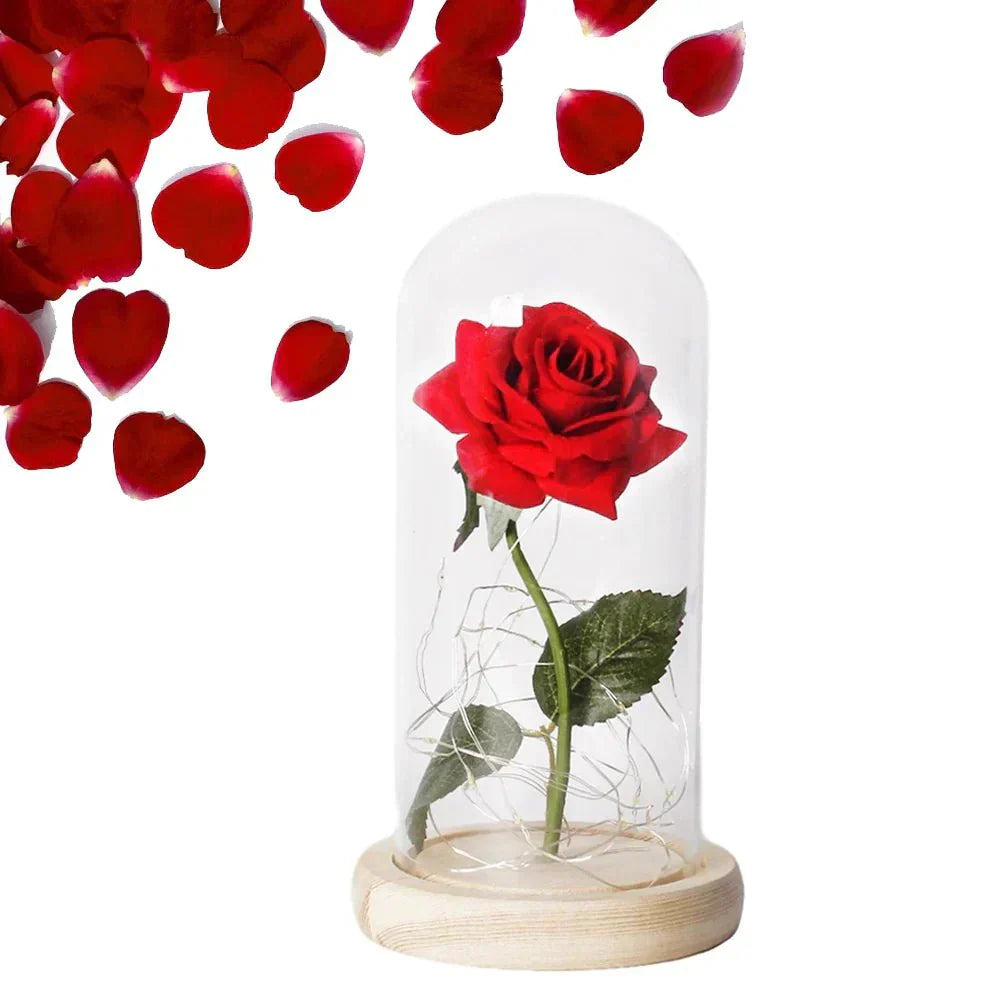 Preserved rose under glass bell jar with LED lighting