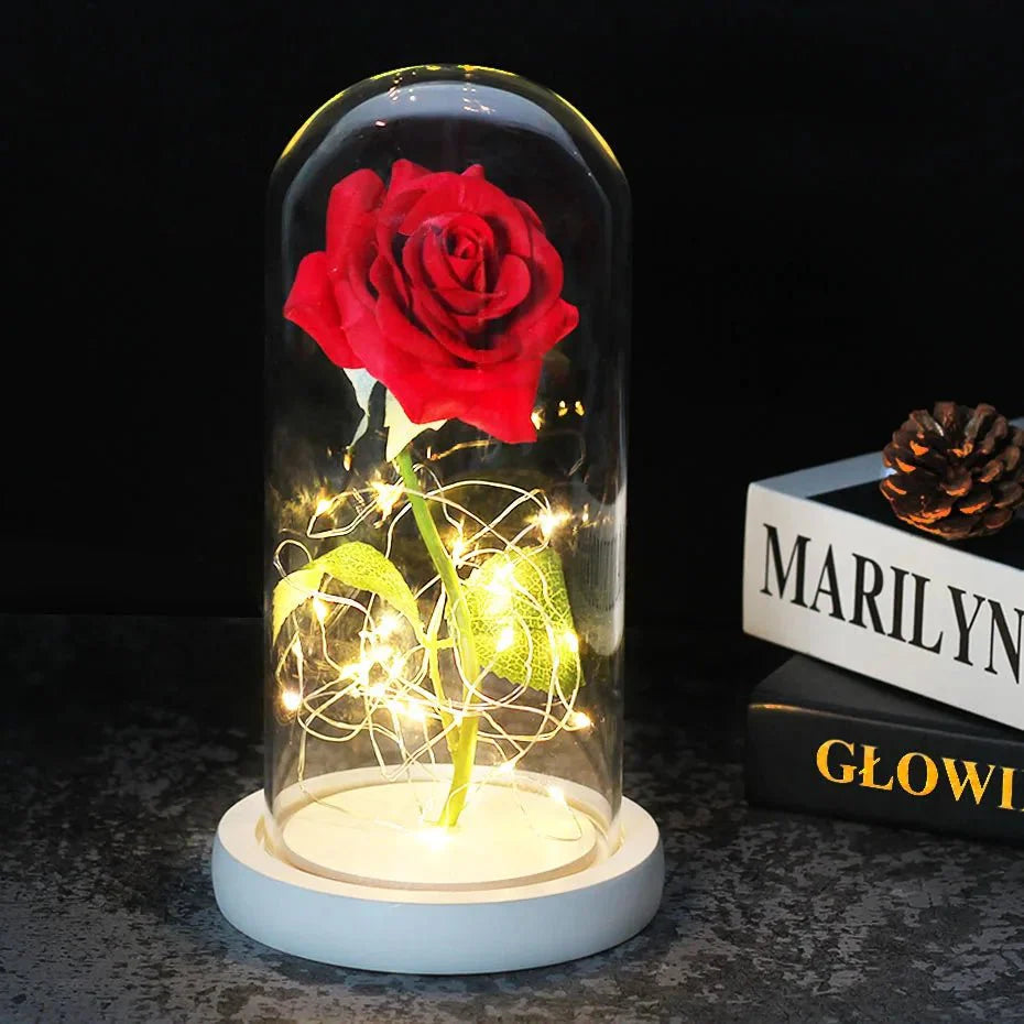 Preserved rose under glass bell jar with LED lighting