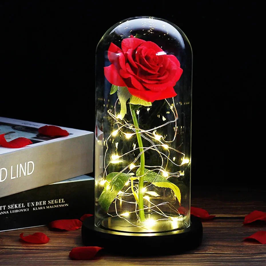 Preserved rose under glass bell jar with LED lighting