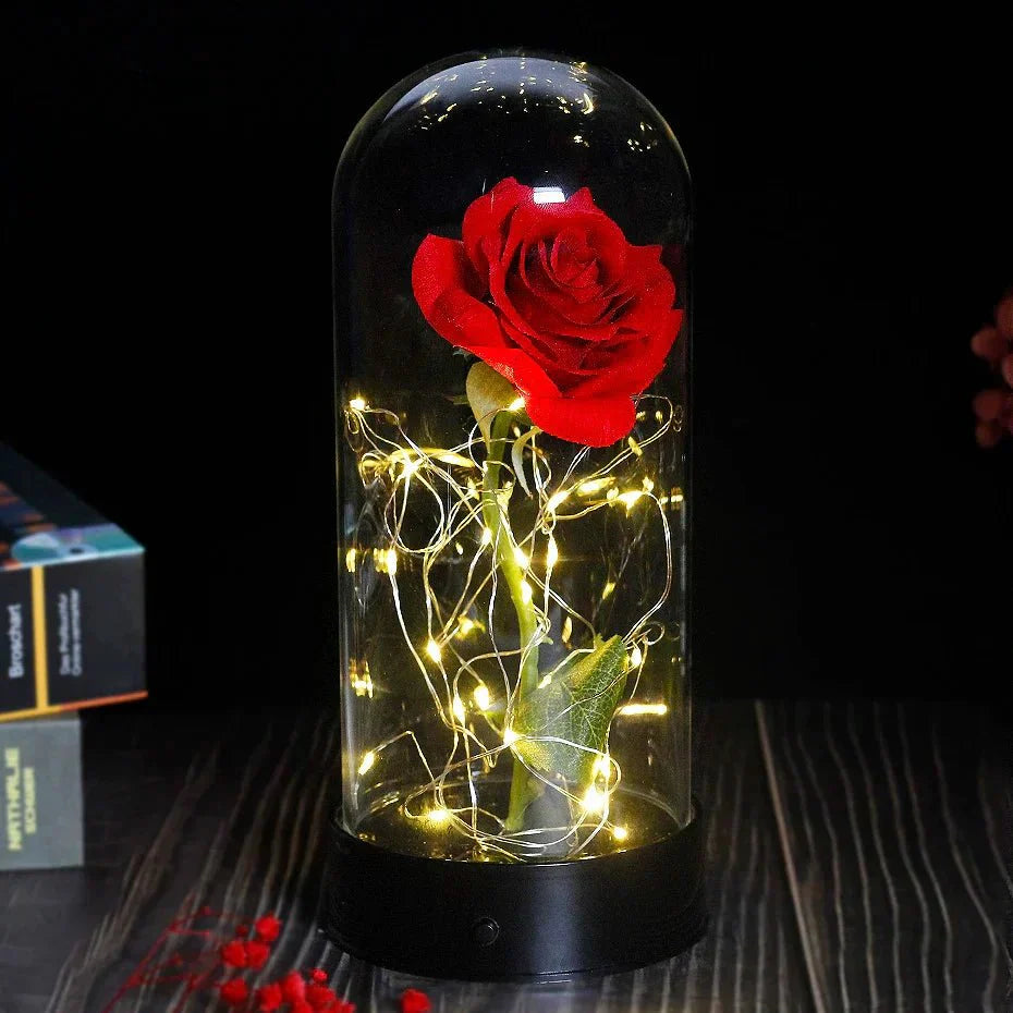 Preserved rose under glass bell jar with LED lighting