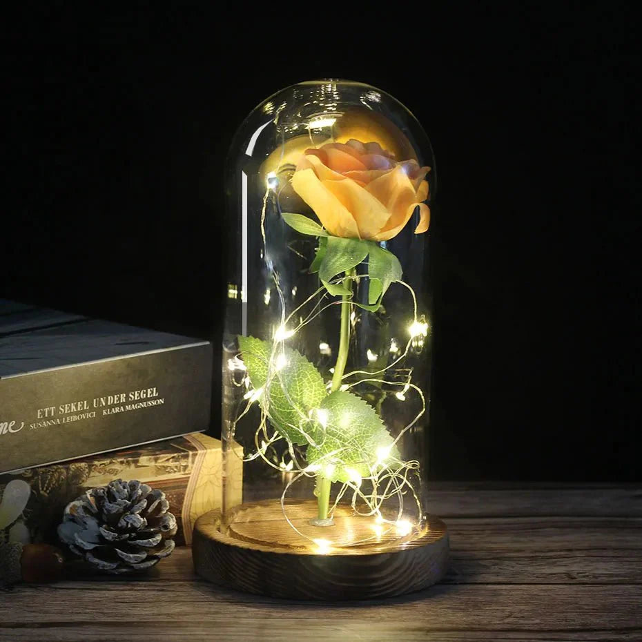 Preserved rose under glass bell jar with LED lighting