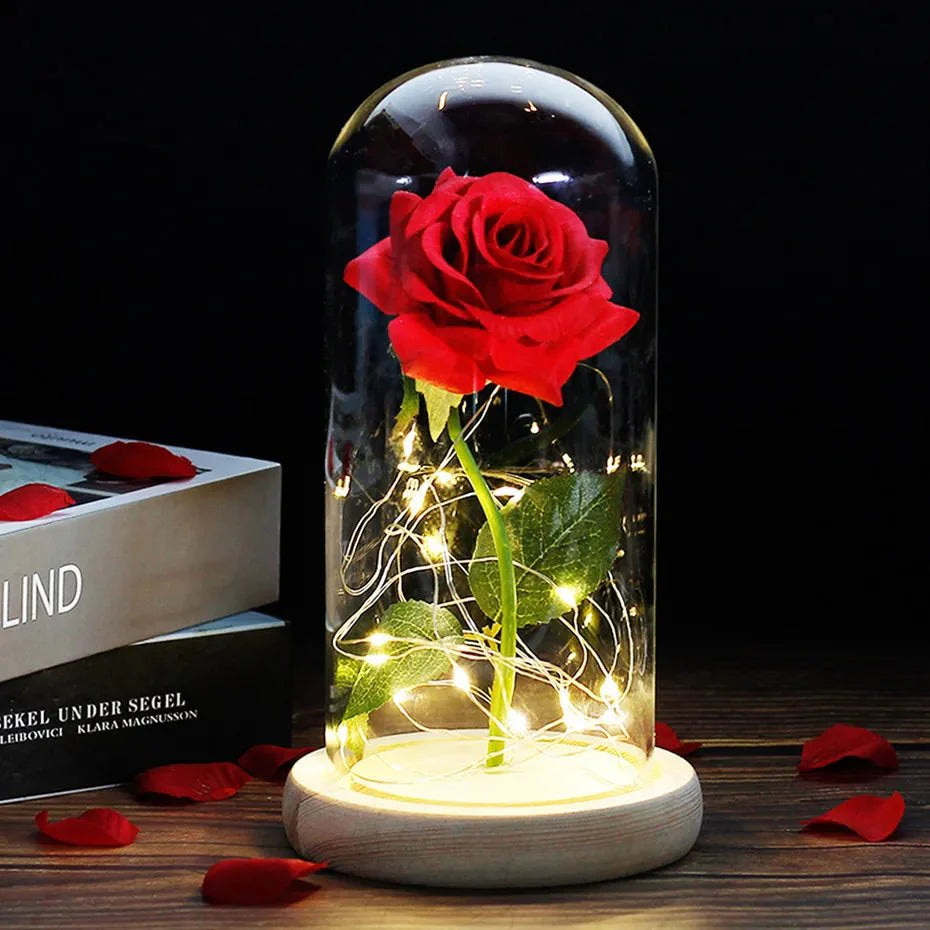 Preserved rose under glass bell jar with LED lighting