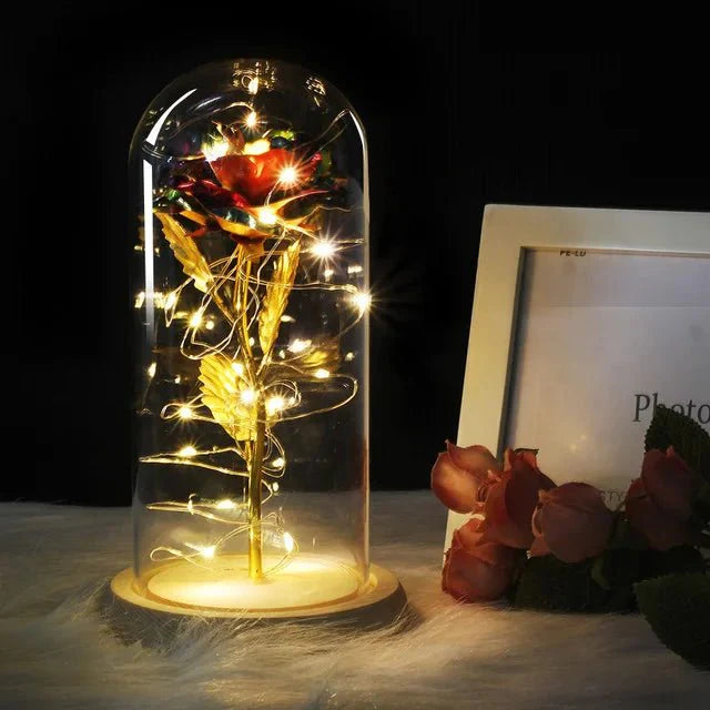 Preserved rose under glass bell jar with LED lighting